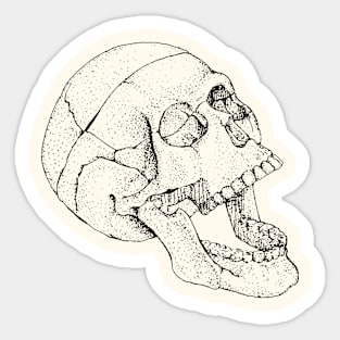 Memento Mori Sticker